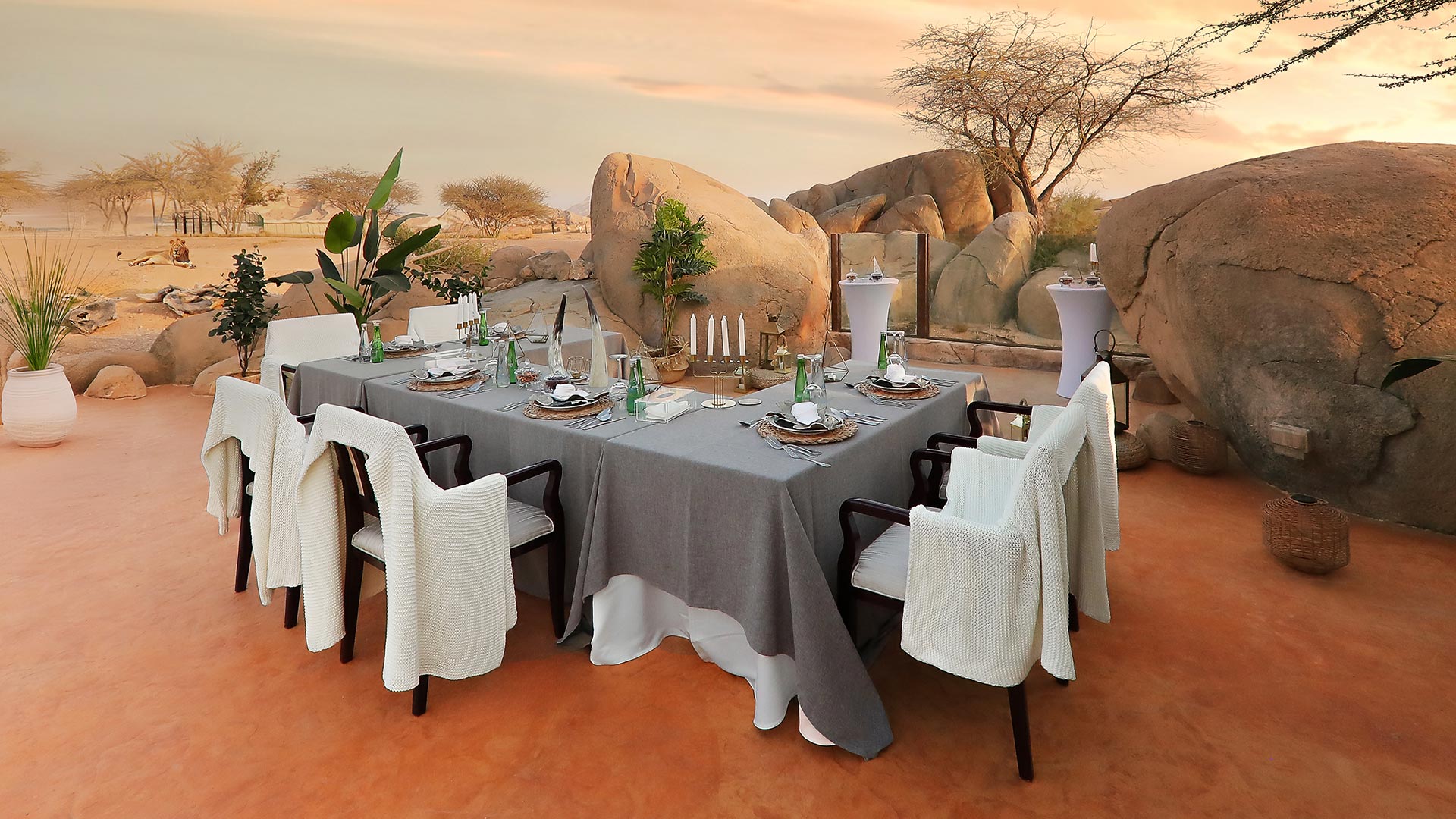 Dining setup at dusk overlooking the beautiful scenery of Al Ain Zoo