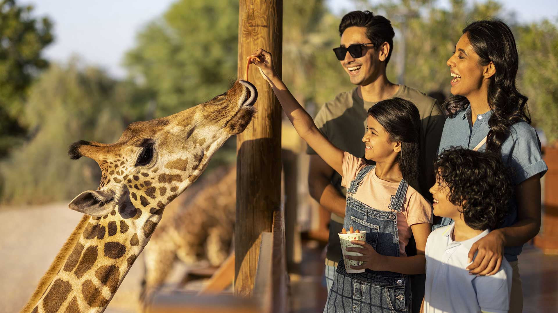 A family feeding a giraffe at an outdoor zoo exhibit.