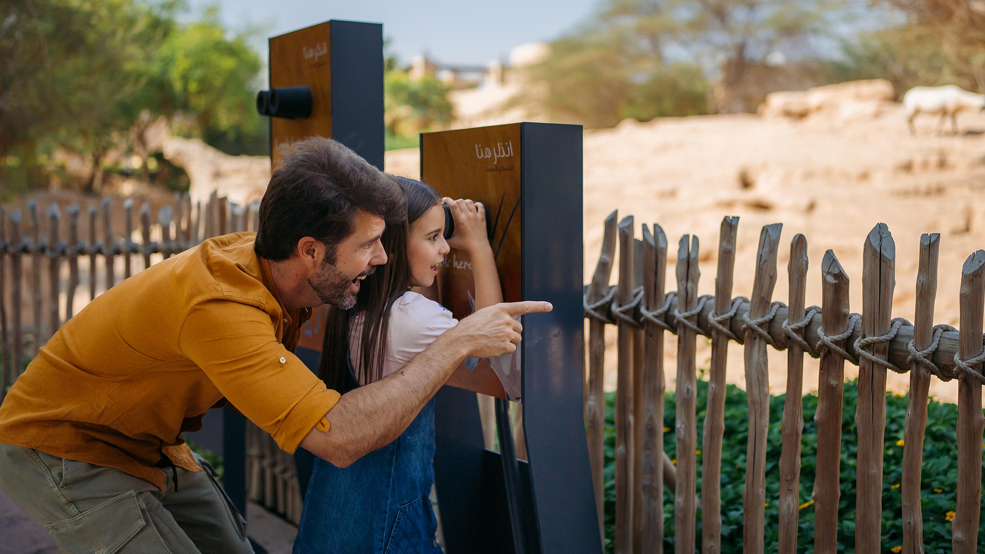 Father and daughter looking at a group of oryxes behind the fence