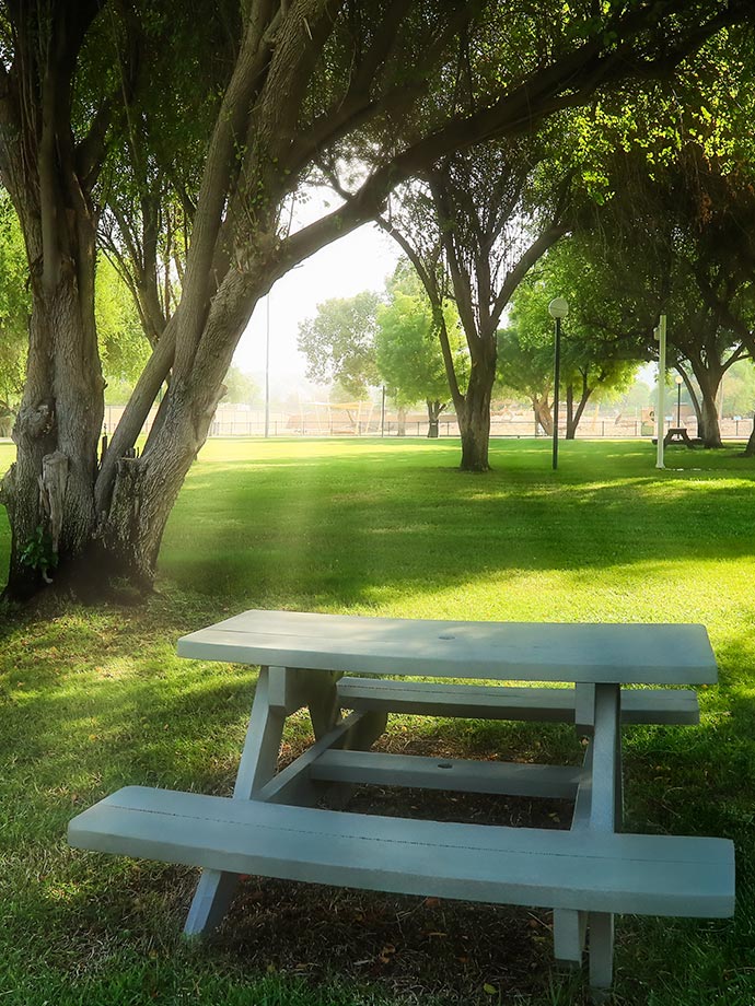A picnic bench under the tree shade