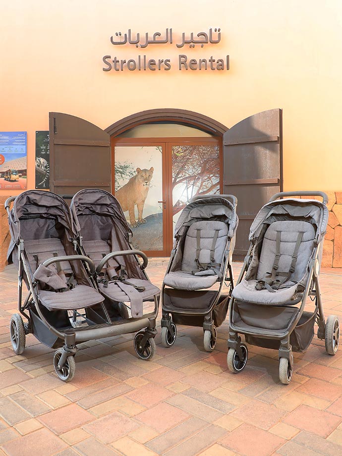 Different types of strollers for rent that are on display