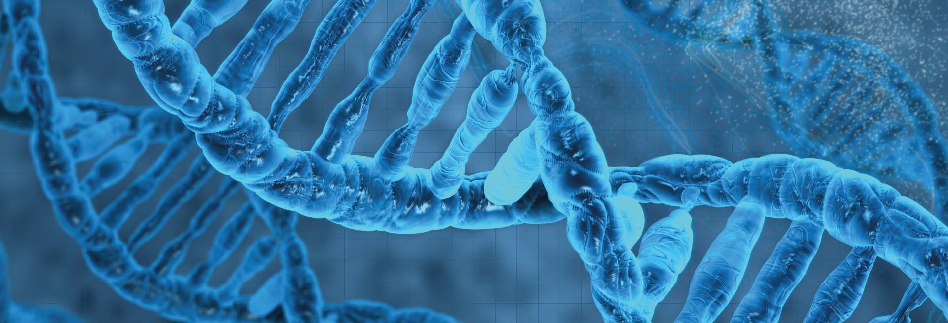 A graphic representation of a DNA