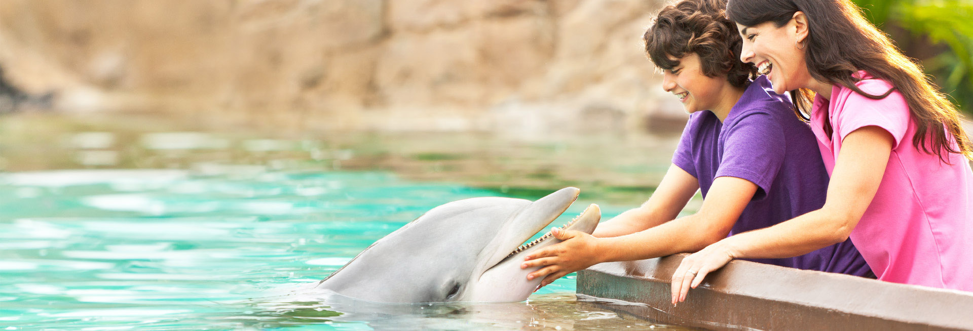 Dolphin Animal Encounter & Experience