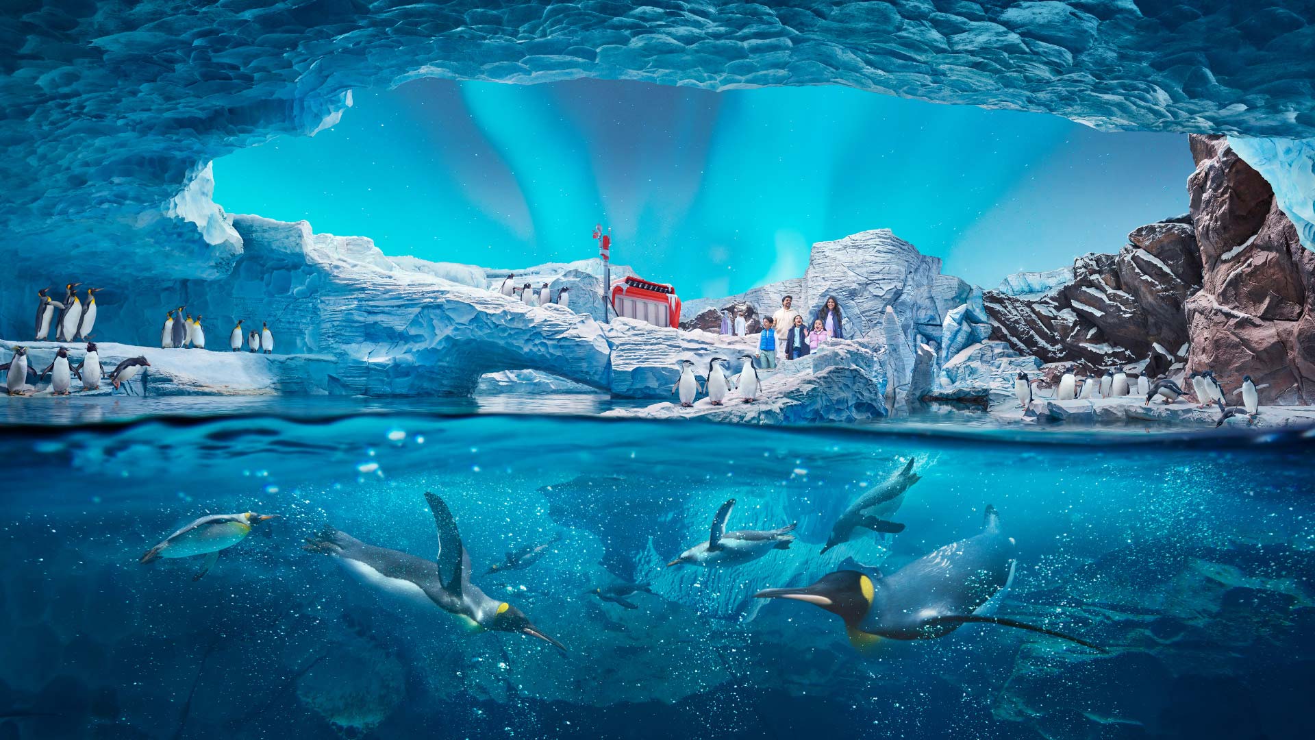 Penguins swimming underwater around the icy Antartica realm