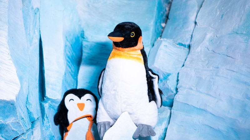 Stuffed penguins at Antartica realm retail store
