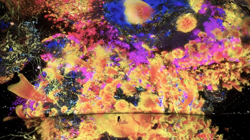 Mesmerizing and colorful Biocosmos artwork