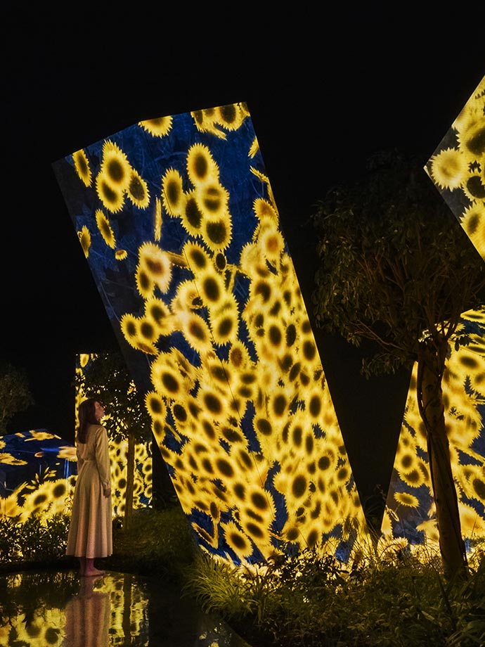 Projection of various sunflowers in the Megaliths in the Roots Garden