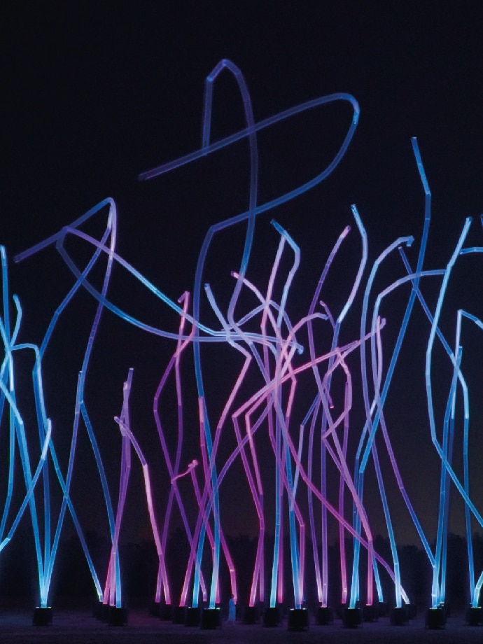 Dances with wind artwork