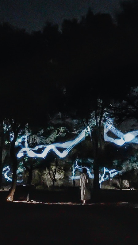 Spatial Calligraphy in the Forest artwork